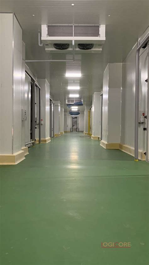 cold storage services philippines|Services .